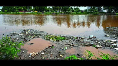 Encroachments eat into Coimbatore’s water bodies