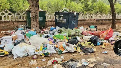 Waste piles up as sanitation workers go on strike, residents pick up brooms