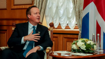 UK's Cameron vows military support on surprise Ukraine visit