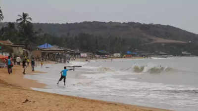 2 tourists from Pune & Bengaluru drown in Goa