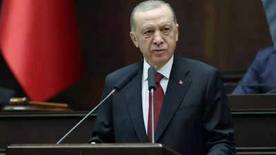 Turkish parliamentary committee to debate Sweden's Nato membership bid