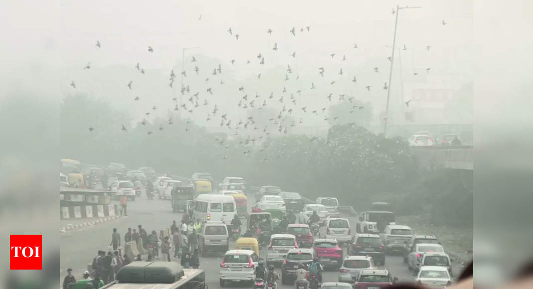 Haze: Latest News: Thick Haze Engulfs City, Temperature Hits Season’s ...