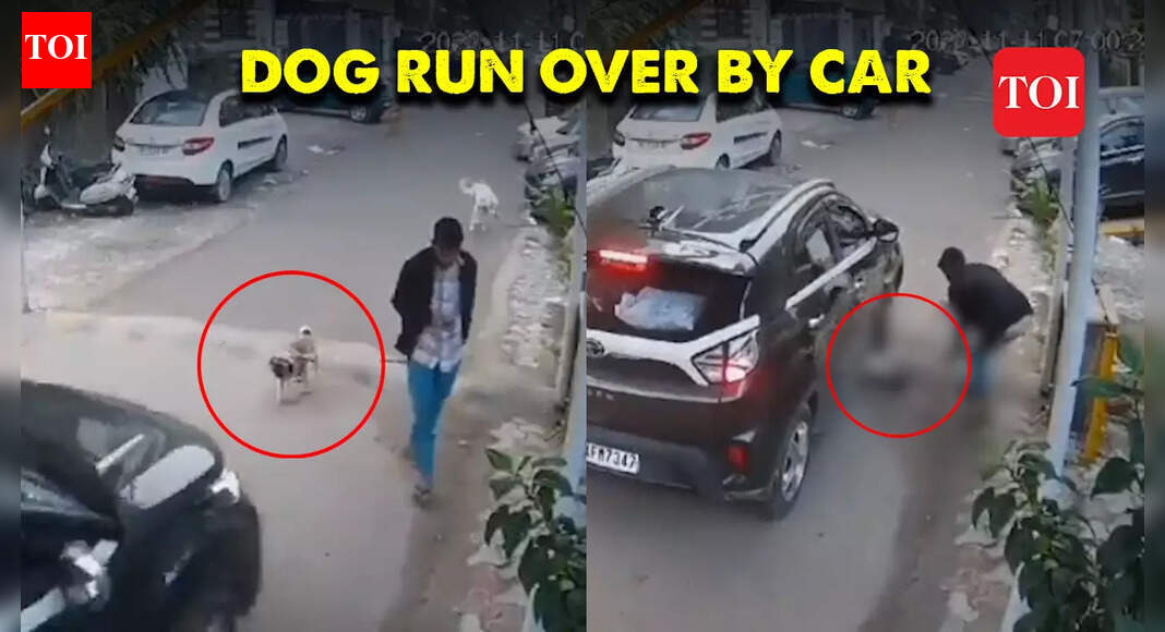 CCTV: Car driver runs over pet dog in Ghaziabad's Indirapuram