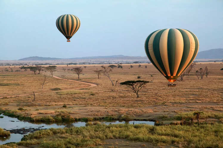 Serengeti National Park, Tanzania