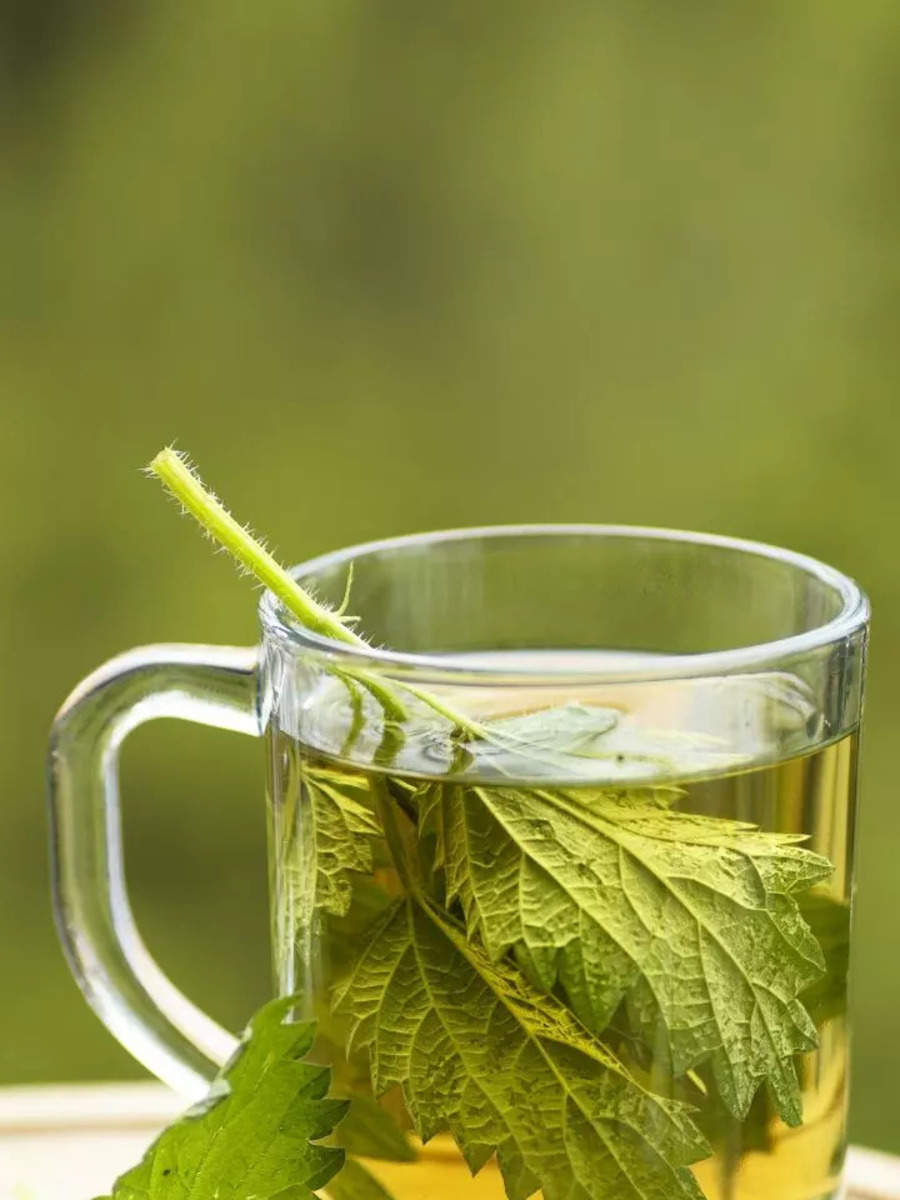 8-health-benefits-of-drinking-nettle-tea-times-now