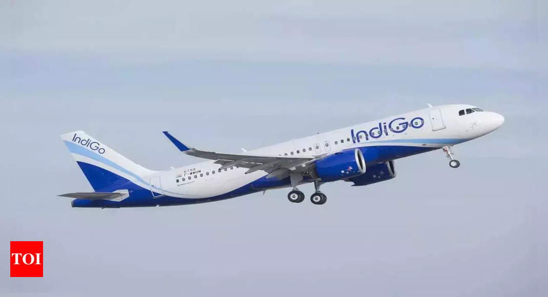 IndiGo becomes 1st desi airline to have over 2,000 planned flights daily – Times of India