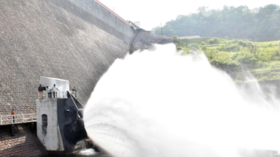 Water released from Papanasam dam in Tirunelveli