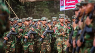 Myanmar troops detain, kill residents of Rakhine town: Local media