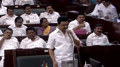Tamil Nadu assembly readopts 10 bills ‘returned’ by governor RN Ravi