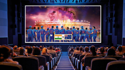 Cinemas turn into mini stadiums for the Cricket World Cup finale