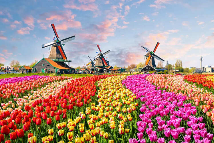 Netherlands 