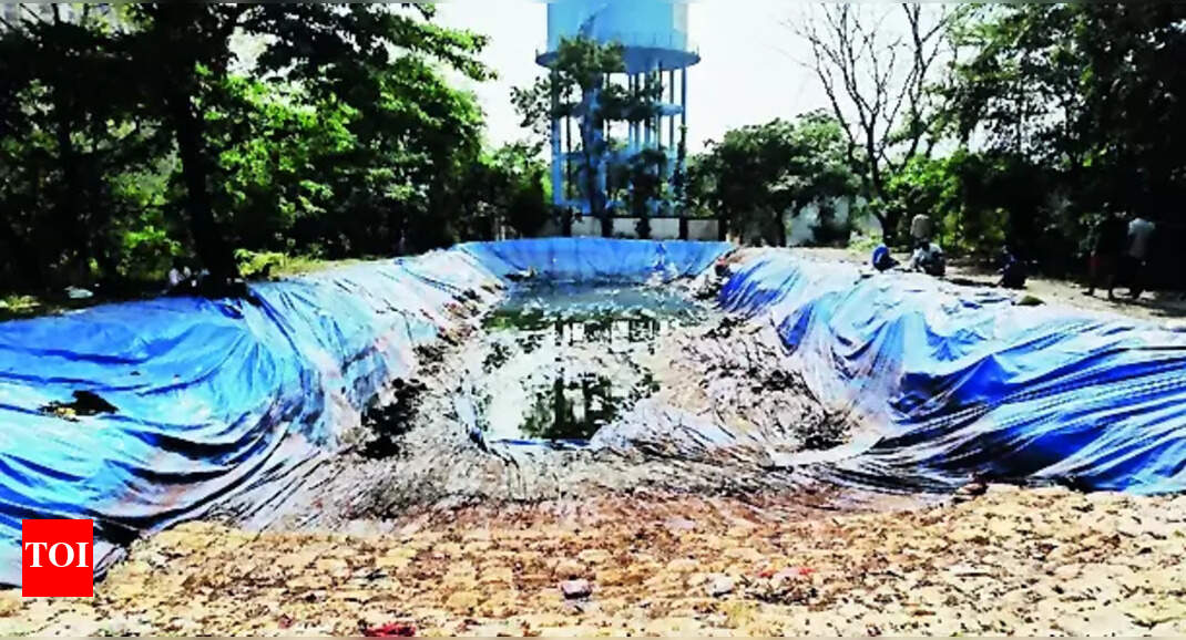 Artificial Pond: Artificial Pond in Thane Turns into Mosquito-Breeding ...