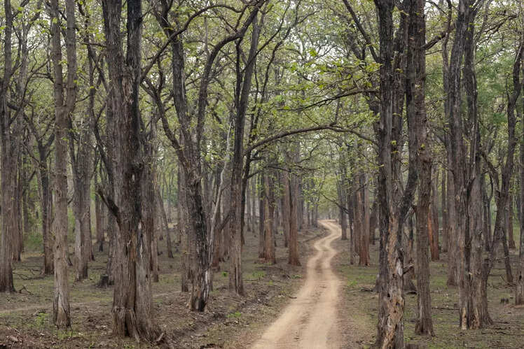 Kambalakonda Wildlife Sanctuary