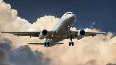 Man detained for misbehaving with Indigo crew on Jaipur-Bengaluru flight