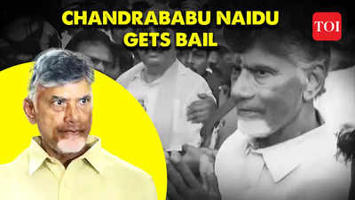 Skill Development Scam Case: Former Andhra Pradesh CM Chandrababu Naidu gets bail