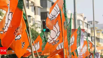 UP BJP affects fresh organisational rejig, changes in charges of six regions
