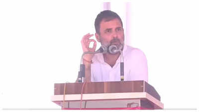 Caste census is 'X-ray' of country, Congress will conduct it: Rahul Gandhi at Rajasthan poll rally