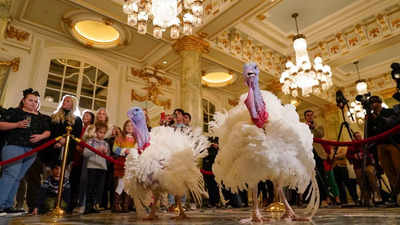 Colorado celebrates thanksgiving with first-ever turkey pardon ceremony