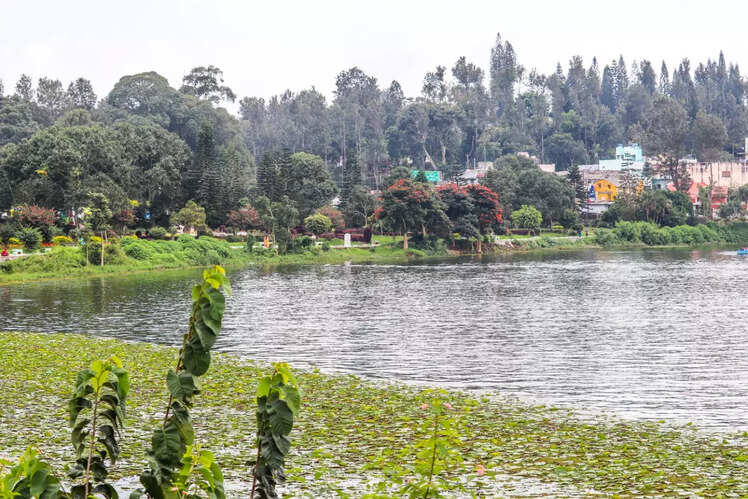 Yercaud, Tamil Nadu