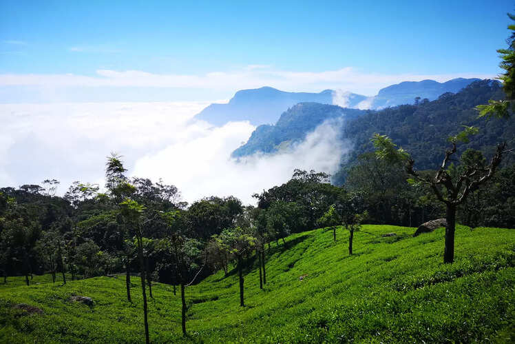 Coonoor, Tamil Nadu