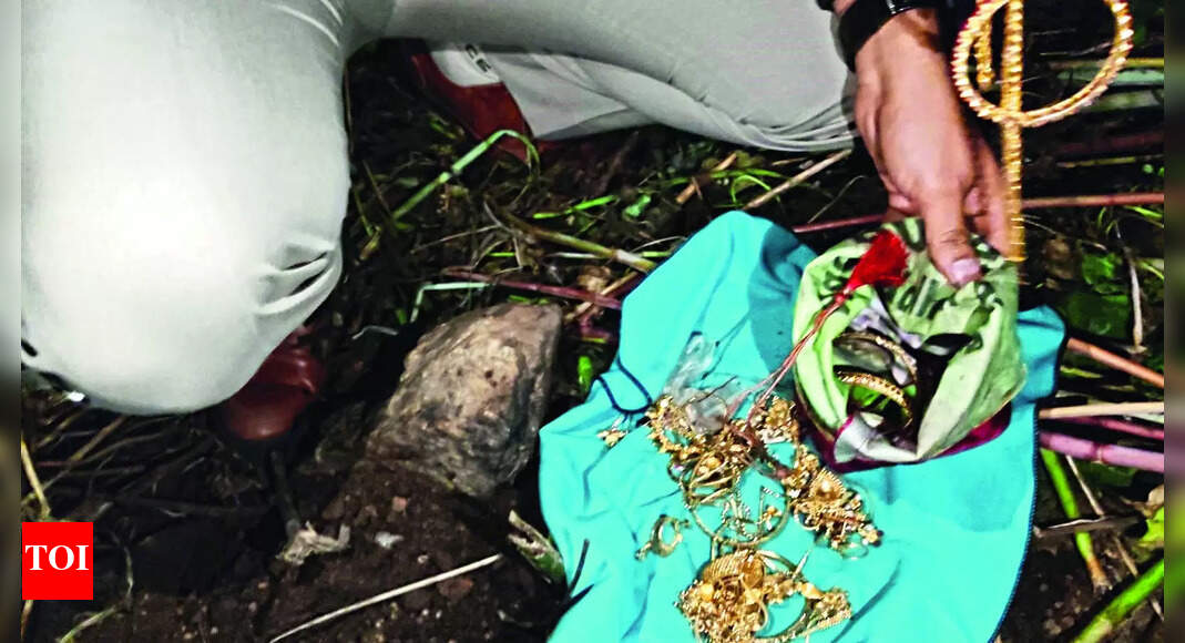 Burglar: Notorious Burglar Arrested: Stolen Gold Buried on Railway Land ...