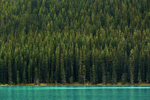 Exploring Banff, Canada's most beautiful national park