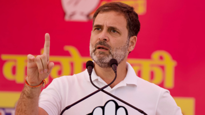 Congress will conduct caste census in Rajasthan if it retains power: Rahul Gandhi