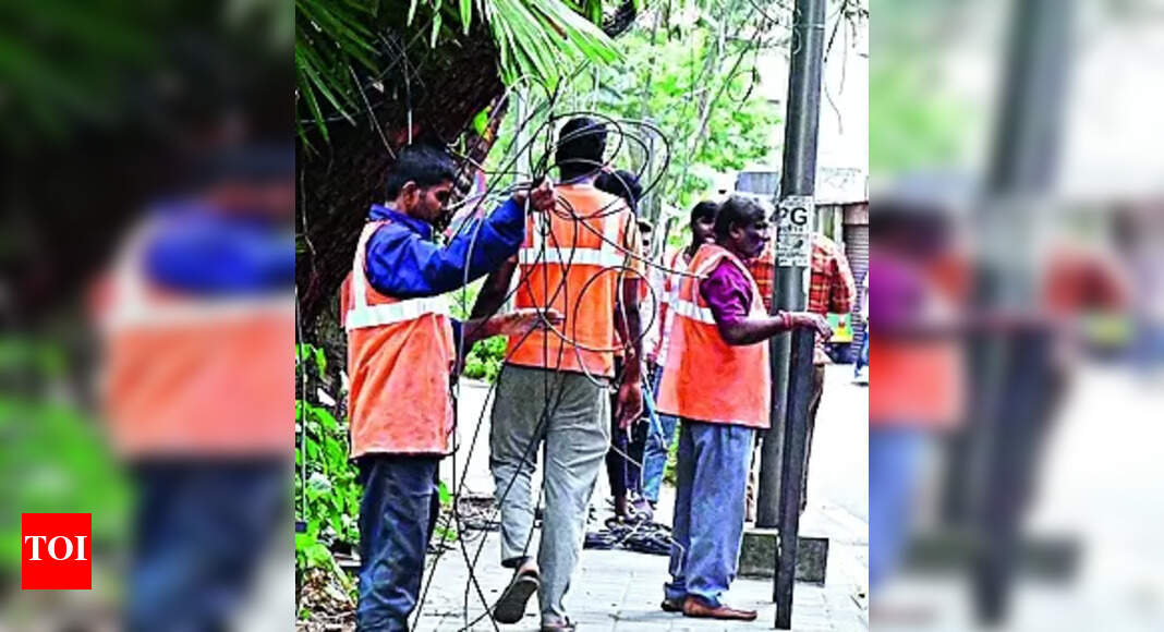 Electrocution Deaths Bengaluru Lokayukta Registers Suo Motu Case on