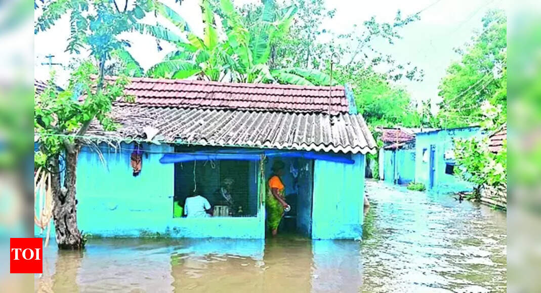 Erode City Rain Leaves Over 100 Houses Inundated In Erode City News