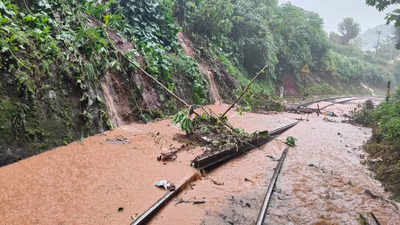 TN rain: Nilgiri Mountain Train services cancelled between Coonoor and Udhagamandalam