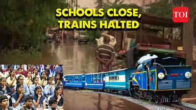 Tamil Nadu Rains: Heavy rainfall shuts schools in 8 districts, halts train services