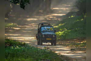 Go wild in 2024! 12 Indian national parks for your 2024 bucket list