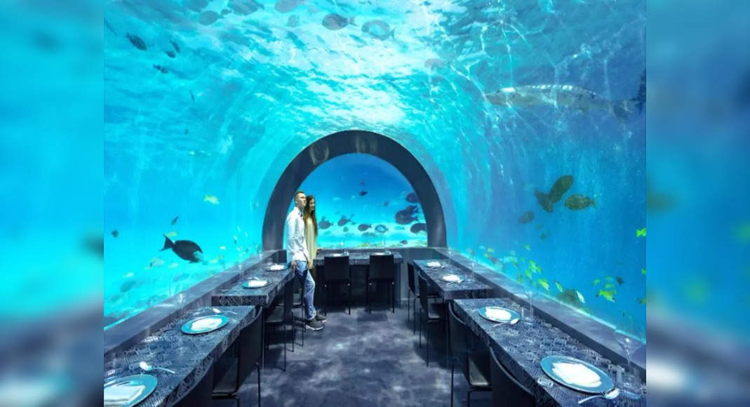 Underwater Restaurants In The Maldives For The Most Surreal Experience   105445867 