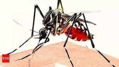 451 dengue cases in Bhopal so far, larvae found in 14% water samples