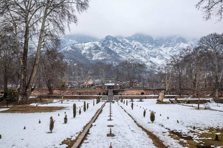 Picture-perfect Nishat Bagh and Shalimar Bagh