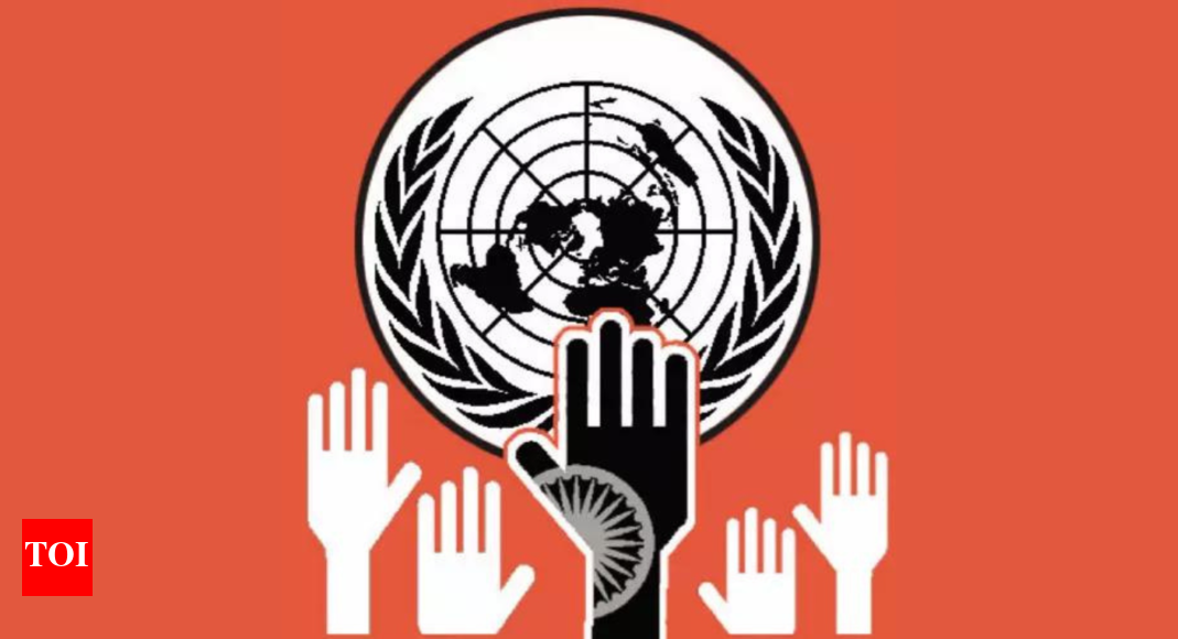 India backs UN plan to shift global tax reins from OECD - Times of India