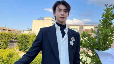 Stabbing incident shakes 'MTV Video Music Awards Japan 2023' attended by Cha Eun Woo; no artist injured, audience member hospitalized