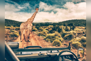 African adventure: Country&rsquo;s most amazing national parks