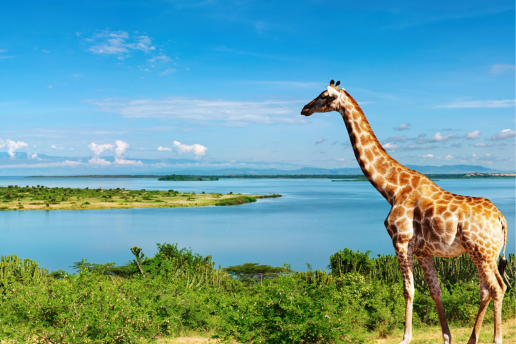 Kidepo Valley National Park, Uganda