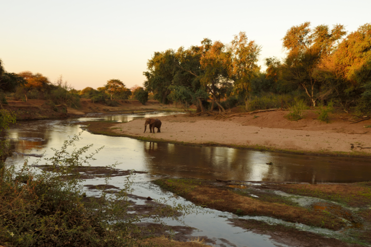 Kruger National Park, South Africa