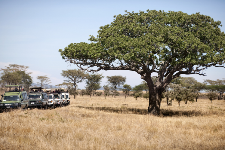 Serengeti National Park, Tanzania