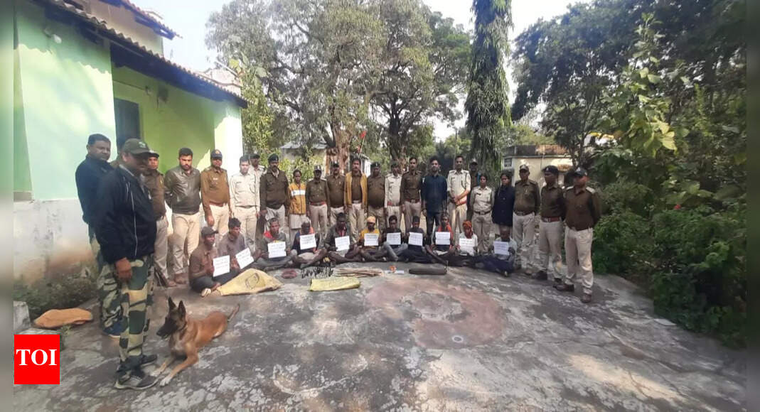 Tiger: Madhya Pradesh: Villagers poached tiger for ‘magical’ whiskers, 11 held | India News