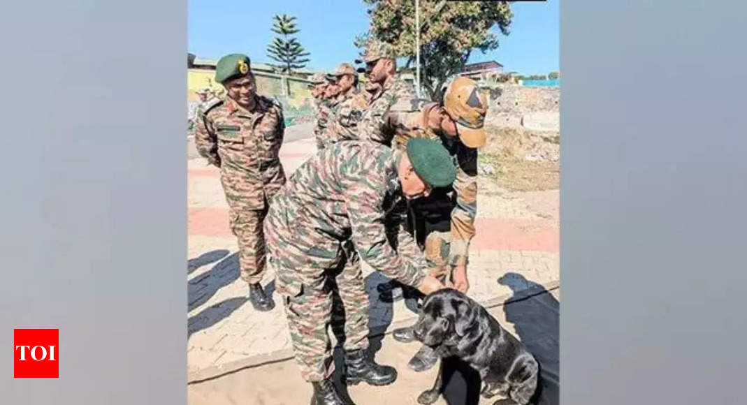 Encounter Award For Army Dog | India News - Times Of India