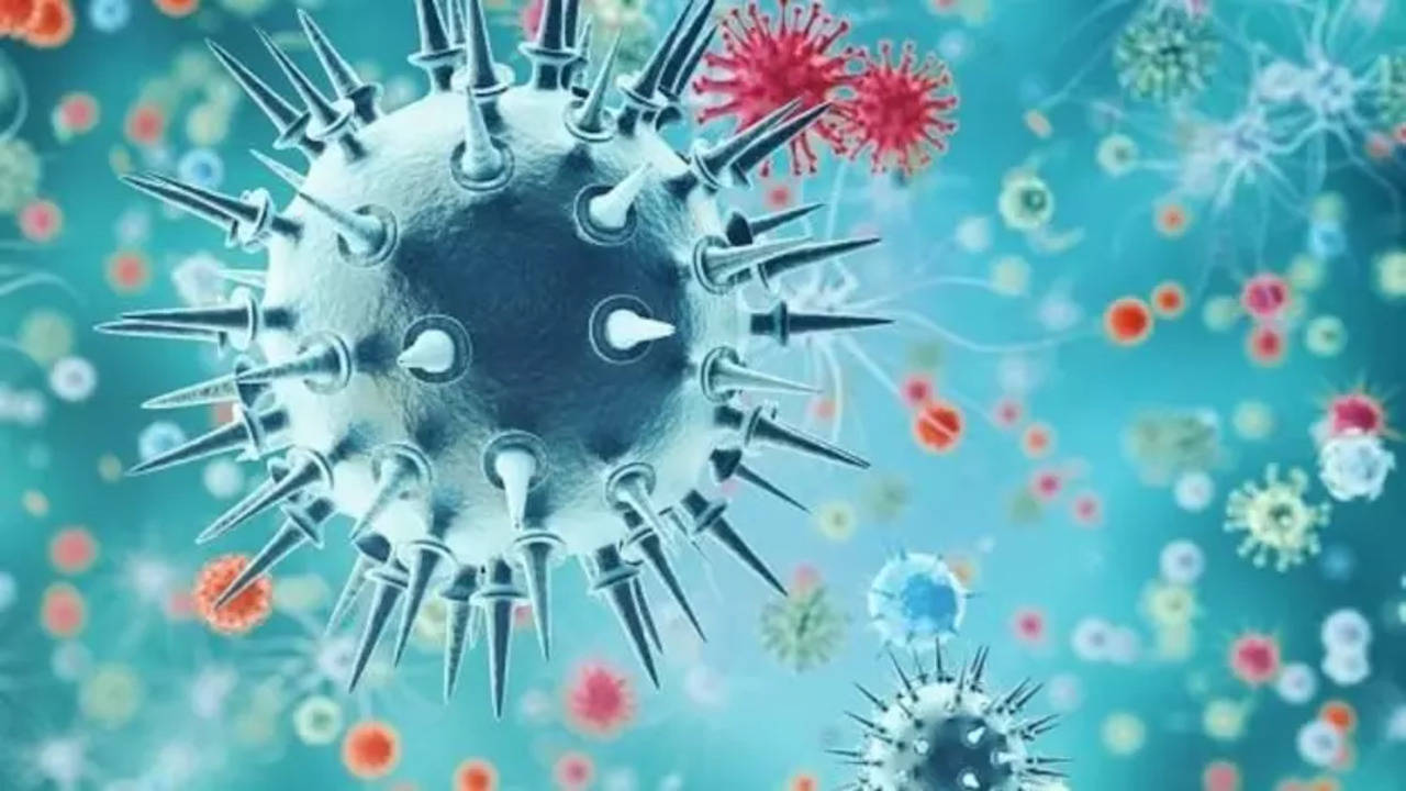 Haryana H9N2 virus Alert