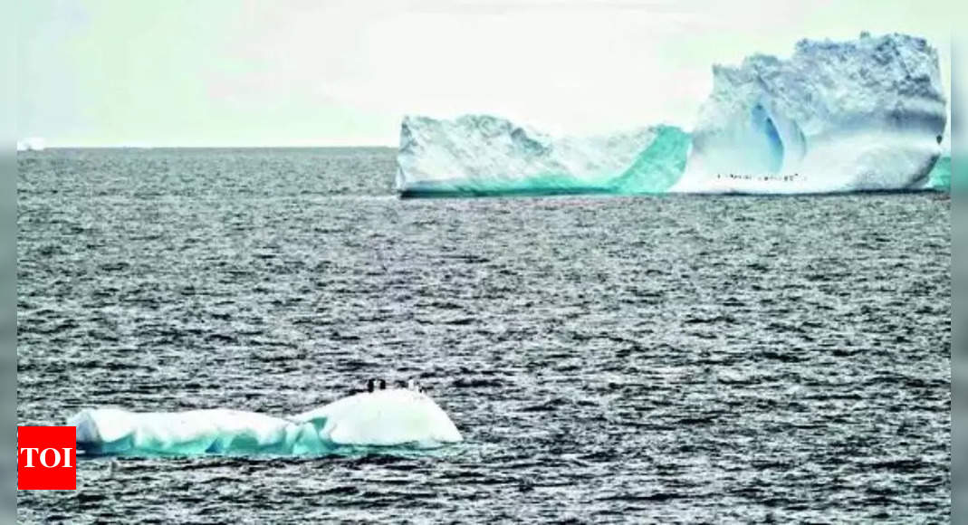 The world’s largest iceberg has broken free and it is on the move