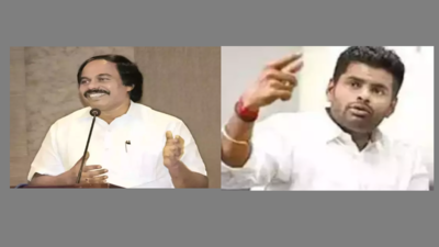 ‘Will you chop off my head?’ Tamil Nadu minister Mano Thangaraj asks BJP leader Annamalai