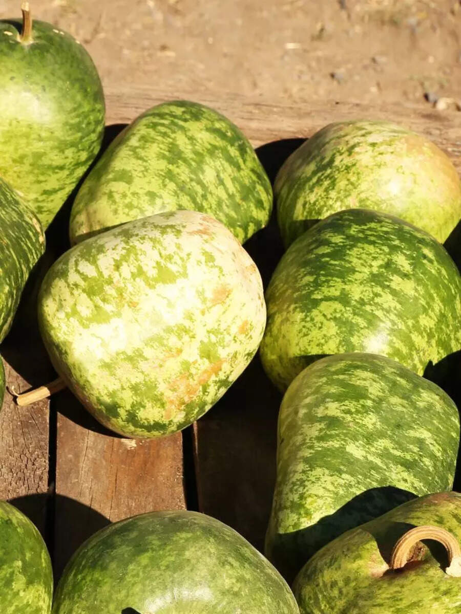 What is apple gourd (tinda) and what are the benefits of adding it to