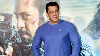 Salman Khan: 'Even if a brilliant film is not liked by the audience, I think it's a sh***y film'