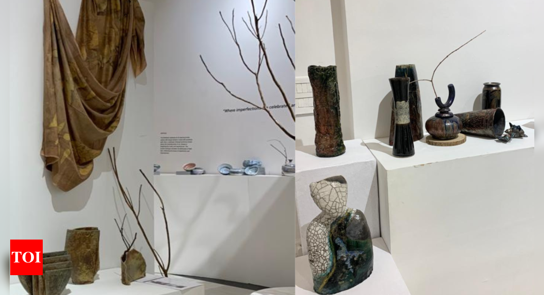 デリーで展示される渋井からインスピレーションを得た日本の陶器と織物 | 映画ニュースイベント