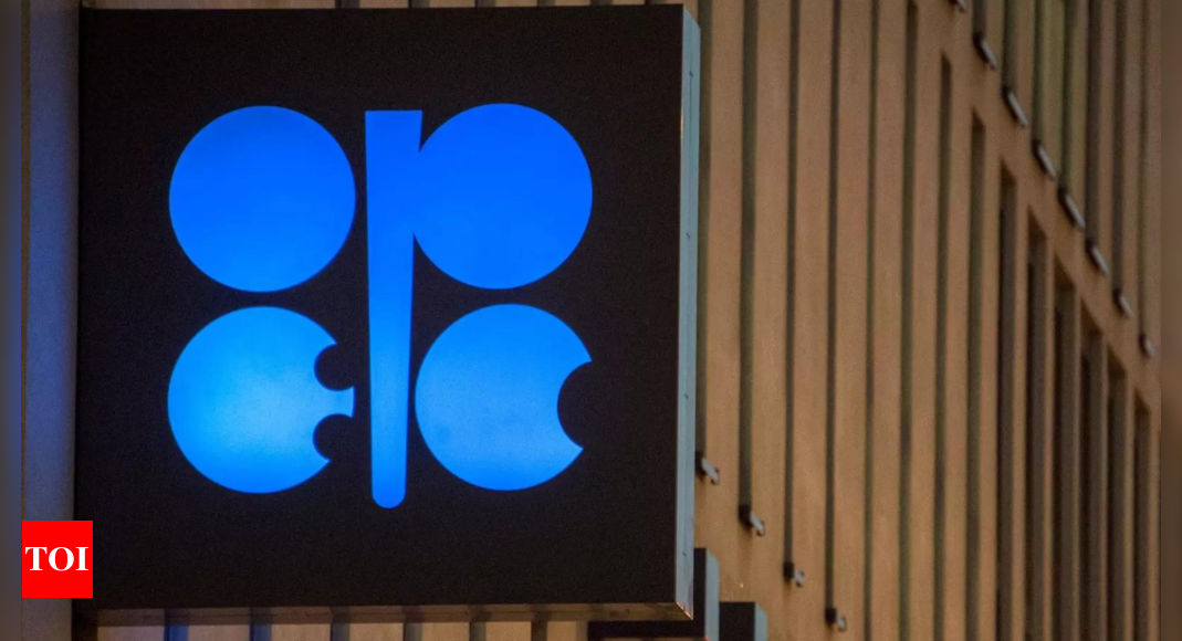 India wants OPEC to watch out for turbulence at Nov 30 meet